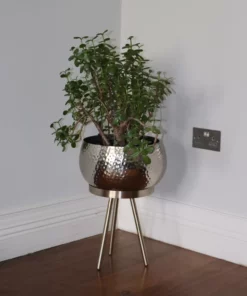 Broughton skirting board