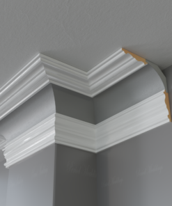 The Middleham Ceiling Mould